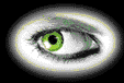 STARTSEITE-Dateien/augefl.gif (14383 Byte)