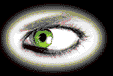 augefr.gif (14183 Byte)